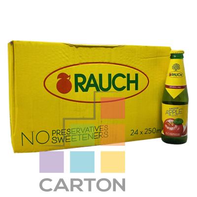 RAUCH APPLE DRINK 24*250ML
